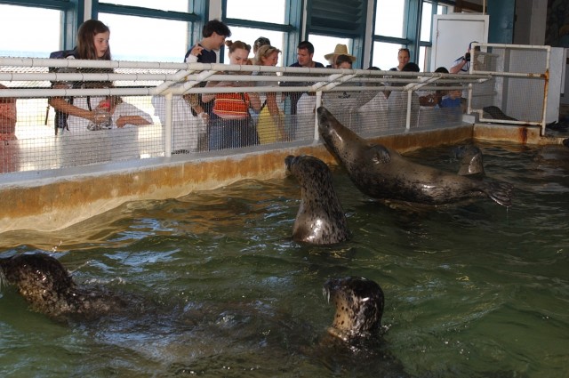 Seaside Aquarium and the Ocean