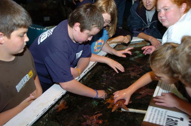 Seaside Aquarium and the Ocean