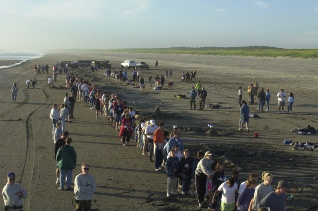 Sandcastle Building